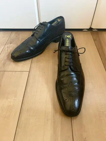 [새상품급] REGAL 리갈 윙팁 메달리온 25cm