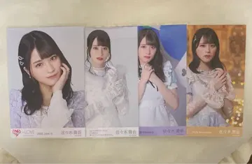 사사키 마이카 브로마이드 묶음 판매