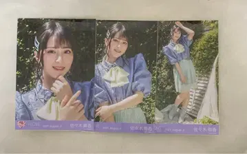 사사키 마이카 언니는 안 되나요 브로마이드 컴프