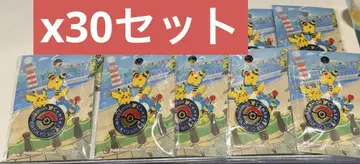 포켓몬 센터 도쿄 베이 리뉴얼 오픈 기념 한정판 핀 배지 30개