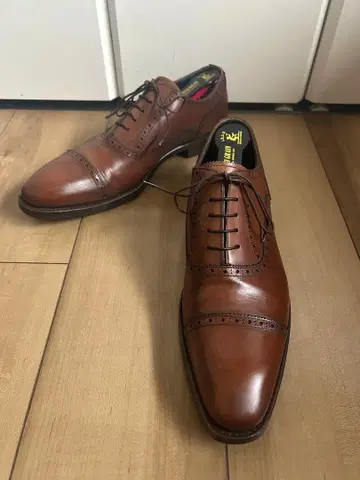 [컨디션 최상] 셰틀랜드 폭스 펀치드 캡토 26cm 8