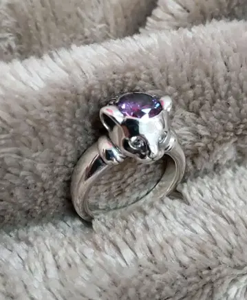 저스틴 데이비스 반지