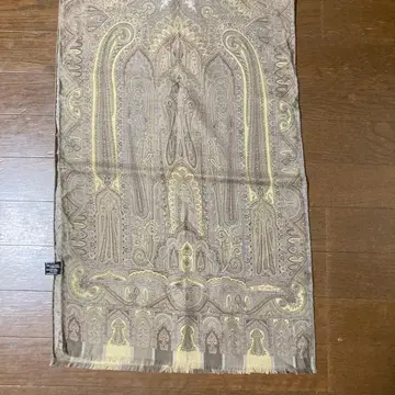 에트로 페이즐리 무늬 스톨