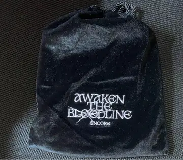 &TEAM AWAKEN THE BLOODLINE 업그레이드 특전