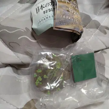 미사용 일본 개구리 특장판 도쿄무당개구리 네이처 테크니컬러