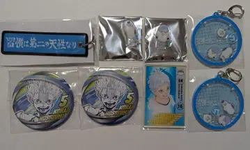 하이큐!! 팬파크 캔뱃지 카모메다이 호시우미 히루가미 하쿠바