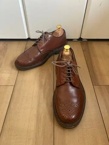 [ 새상품급 ] REGAL 리걸 윙팁 메달리온 25cm