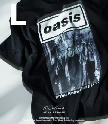 [ 새상품 ] oasis D'You Know What I Mean?