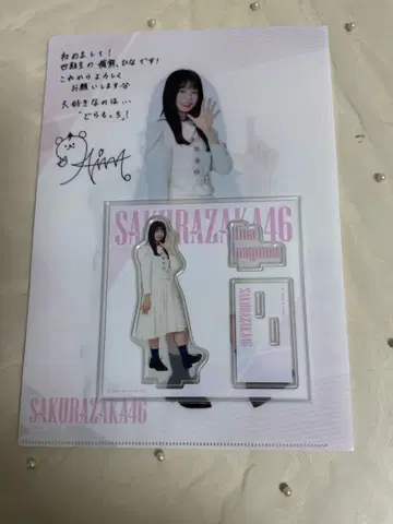 사쿠라자카46 아크릴 스탠드 클리어 파일 이나쿠마 히나