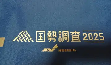 국세 조사 2025 백 파랑