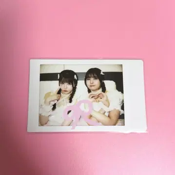 센리츠 카나노 돈치키 사키나 폴라로이드