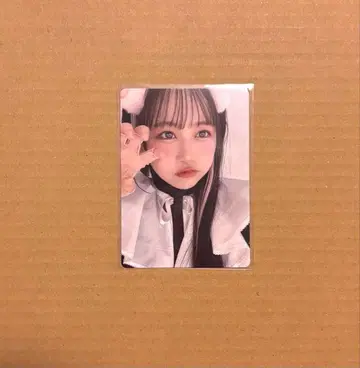 piki 트레이딩 카드 3