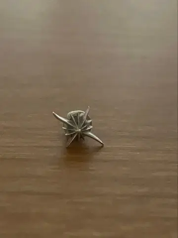 SAAD 태양신 귀걸이 중고품