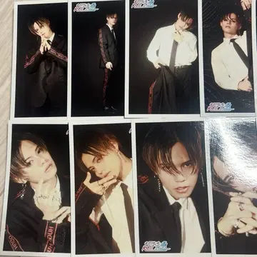 초특급 카이 브로마이드 12장