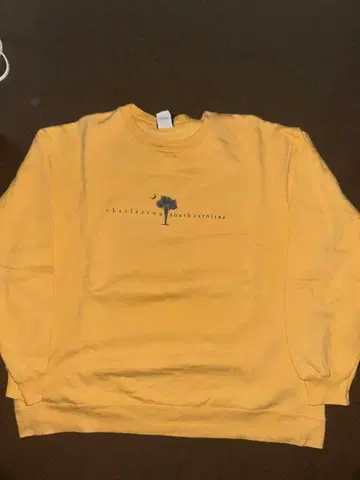 90s Hanes 헤인즈 비피 맨투맨 빈티지 맨투맨