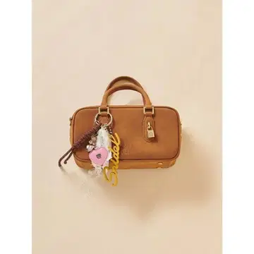 미니 보스턴 (CML)