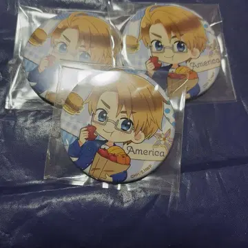 339 헤타리아 미국