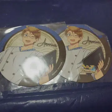 347 헤타리아 미국