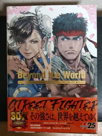 스트리트 파이터 메모리얼 아카이브