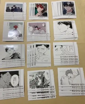 기븐전 ENCORE 파샤코레 premiu 1