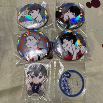 하이큐 포트레이트 샤이니 캔뱃지