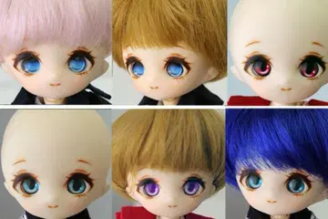 PARABOX 히카리 헤드 신채색 헤드 D