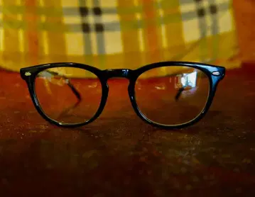 금자안경 저널 스탠다드 HOMESTEAD EARLY