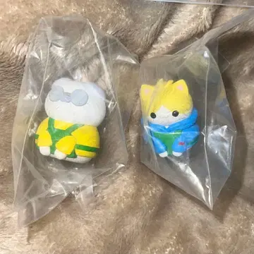 사카모토 데이즈 메가캣 프로젝트 아사쿠라 신 사카모토 타로