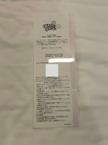 해피 엔트리 10/30 디즈니랜드