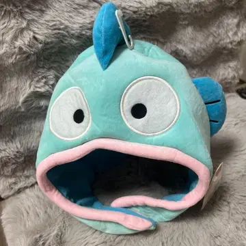 한교동 모자 택 포함 새상품