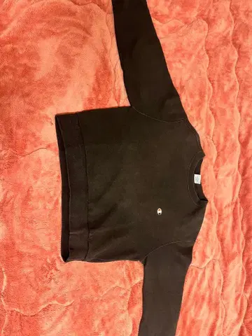 champion 구제 의류 블랙