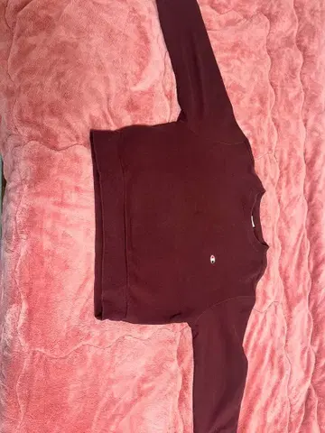 Champion 구제 의류 레드