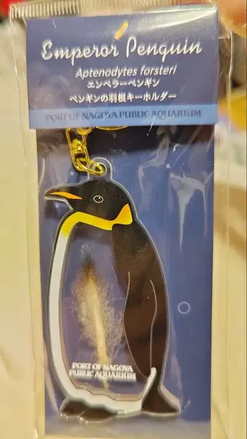 나고야 수족관 엠퍼러펭귄 깃털 키링