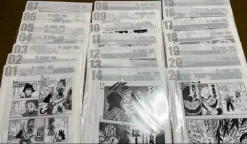 드래곤볼 제일복권 40th G상 전종