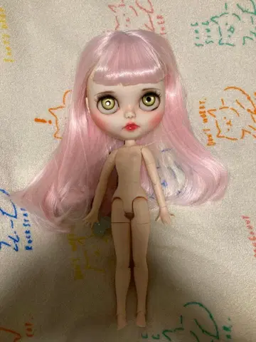 커스텀 브라이스 본체만