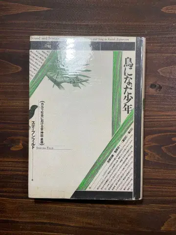 새가 된 소년 스티븐 페르드