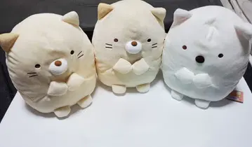 스미코구라시 고양이 시로쿠마 봉제 인형 M 3개 세트