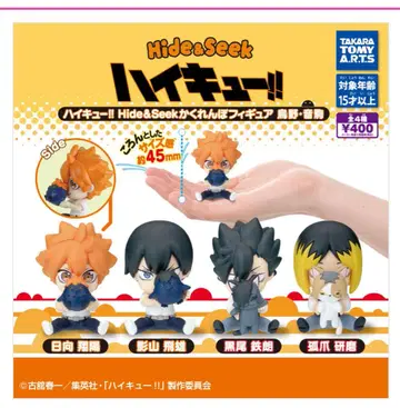 하이큐!! Hide&Seek 숨바꼭질 피규어 카라스노 네코마