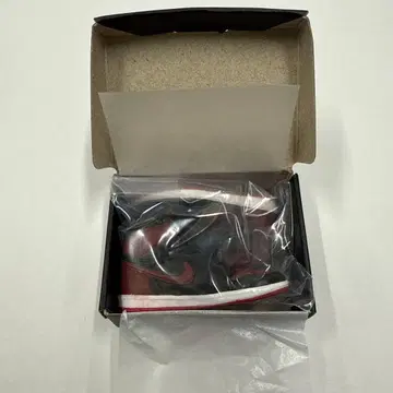 나이키 캡슐 토이 레드 블랙