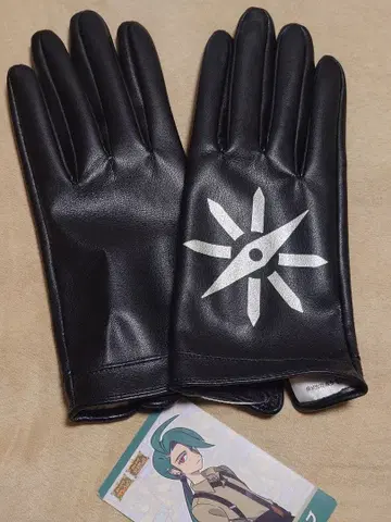 포켓몬 칠리 장갑