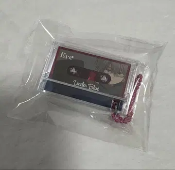 Eve 복권 뮤직 키링