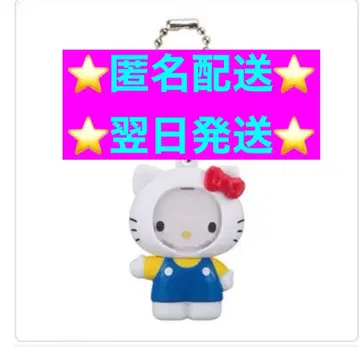 익명 배송 산리오 캐릭터즈 사진 프레임 마스코트 헬로키티