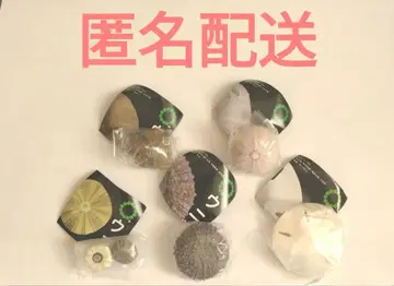 NTC MONO+ 성게 껍질 마그넷 컬렉션 가챠 새상품 5개 세트