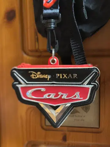 디즈니 패스 케이스 카즈 맥퀸