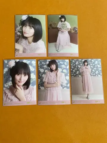 노기자카46 브로마이드 할로윈 2025년 5매 세트 엔도 사쿠라