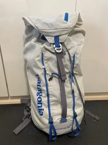 Patagonia Ascensionist 25L 백팩