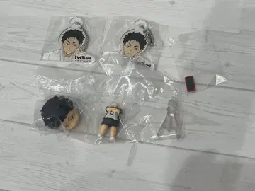 하이큐 아카아시 케이지