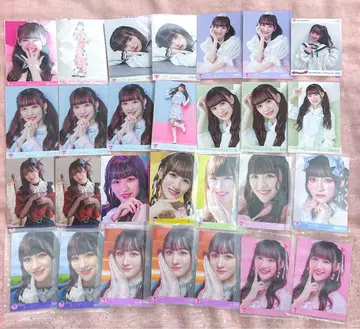 이코럽 오토시마 리사 브로마이드 장미 모음