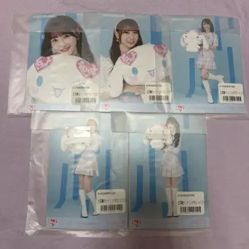 이코러브 브로마이드 시나몬 시나모롤 미개봉 5팩