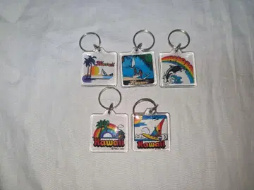 쇼와 레트로 하와이 키링 5종